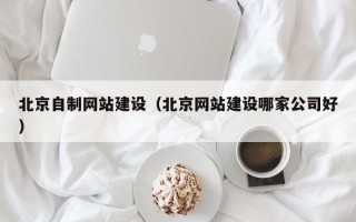 朔州北京自制网站建设（北京网站建设哪家公司好）